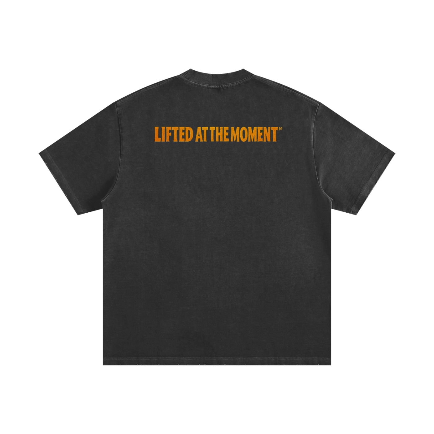 Kushenstein Heavyweight Vintage T-Shirt